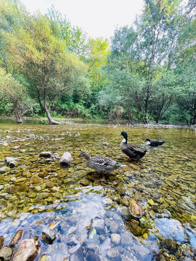 Skala Luxury Rooms Cetinje Buitenkant foto